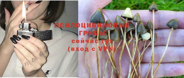 каннабис Гусев