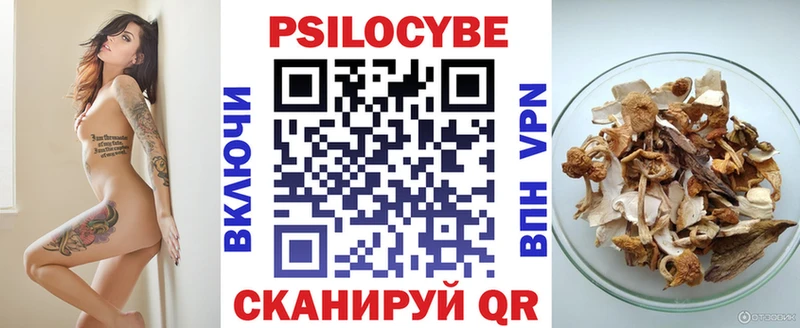 Купить закладки  Курганинск  Галлюциногенные грибы Psilocybe 